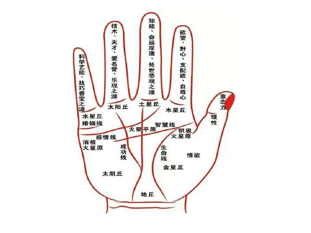 重庆南坪风水师谈怎么看手相中的感情线是否明显？