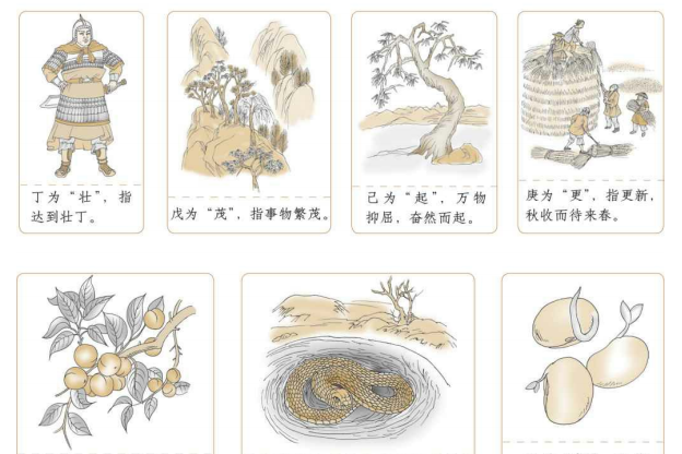 想学易经？李九燚教你从天干地支基础开始