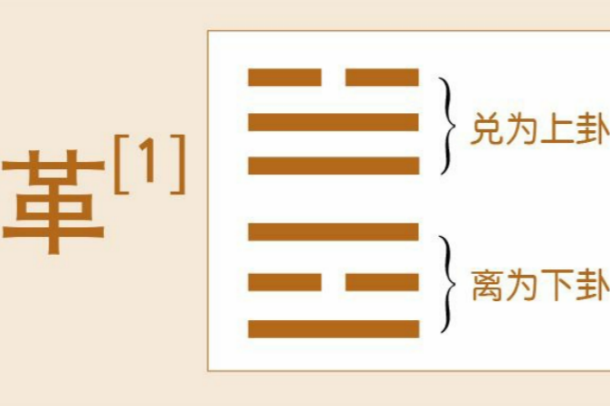 从巩用黄牛到虎变豹变：德易堂讲解《革》卦的变革进程与境界升华