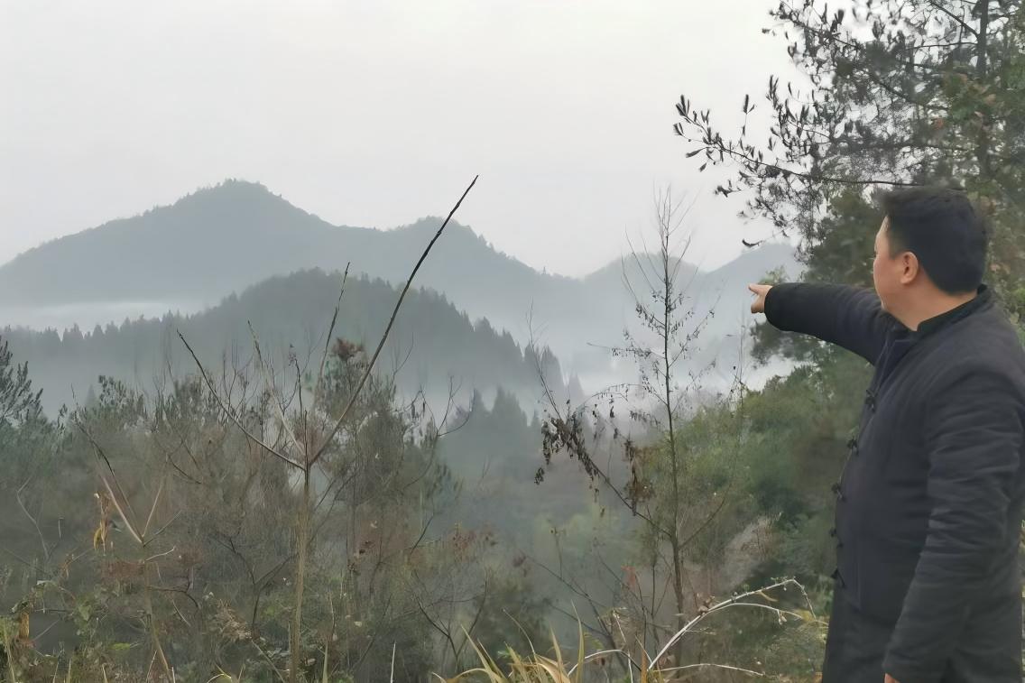祖坟一改，家运全毁！重庆风水大师李九燚一招逆转