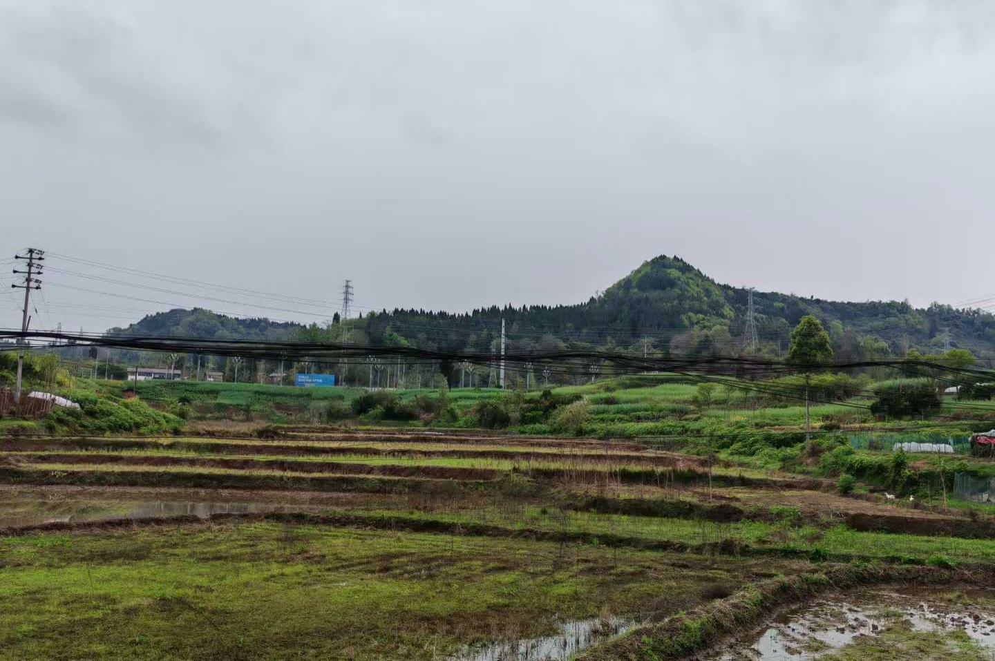 【案例】重庆风水师李九燚四川达州市大竹地区阴宅寻龙点穴风水堪舆纪实