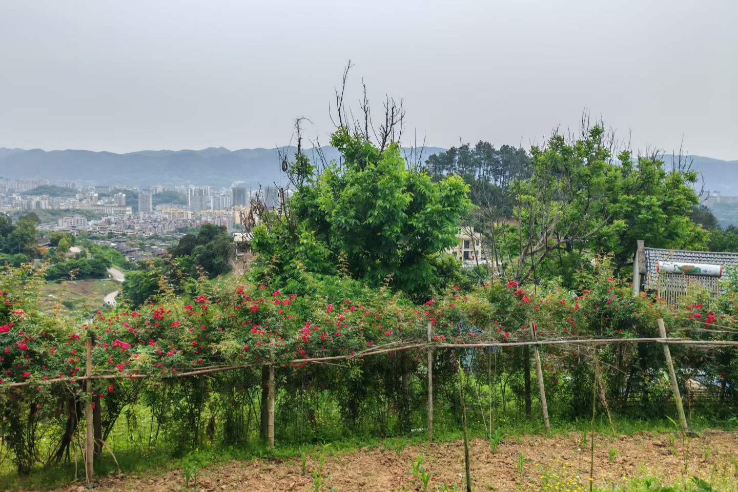 【案例】重庆风水先生李九燚(yì)北碚区别墅整体规划布局风水堪舆案例