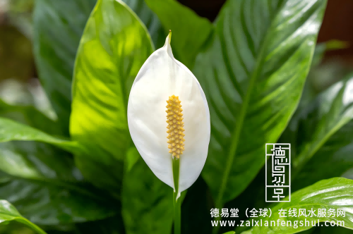 1781142865787389.png 1 (1).png
